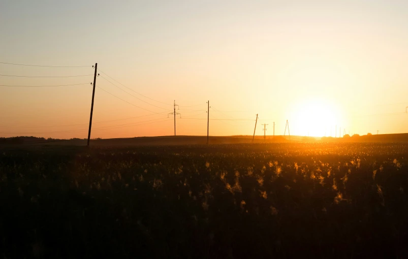 there is the sun setting over a field and telephone poles