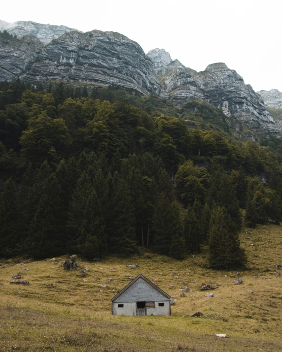 a small, abandoned shack sitting in the middle of a meadow