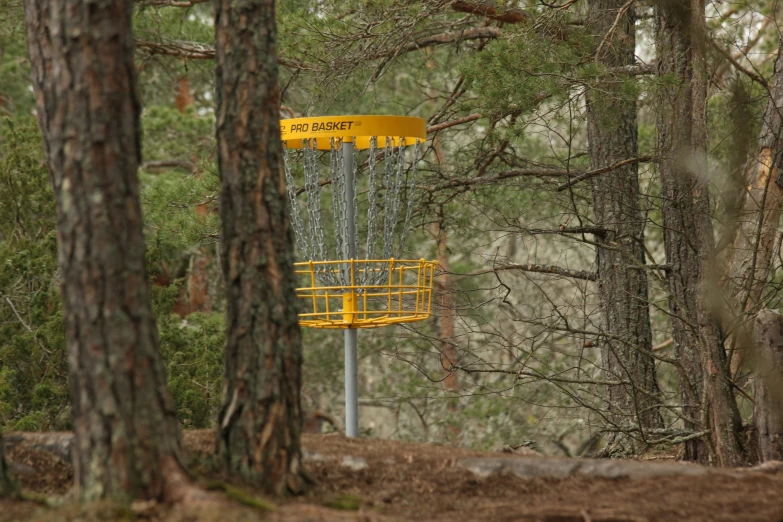 the yellow thing is in the trees near the sign