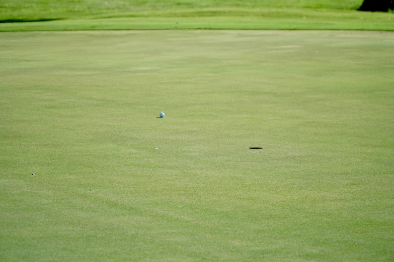 a tee sitting in the middle of a golf course