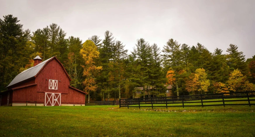 a barn with a metal roof sitting on the grass