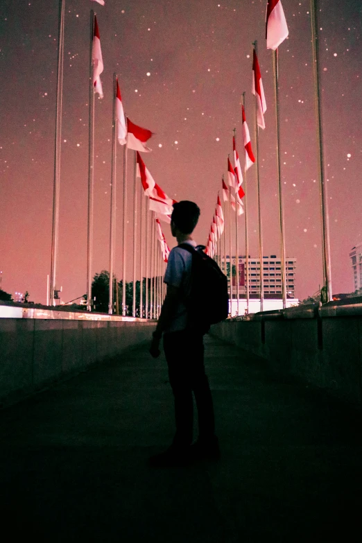 man standing against the light poles looking down at flags