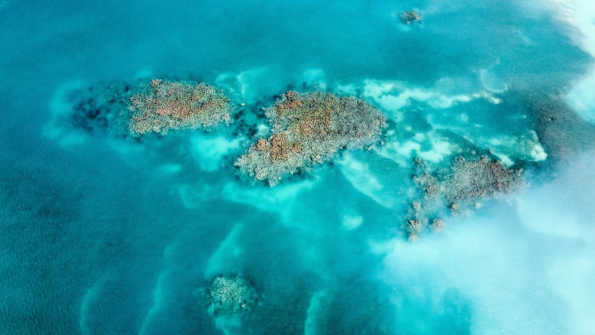 an island covered in small tropical vegetation surrounded by the ocean