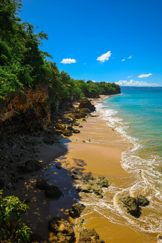 an open beach next to a wooded area of land