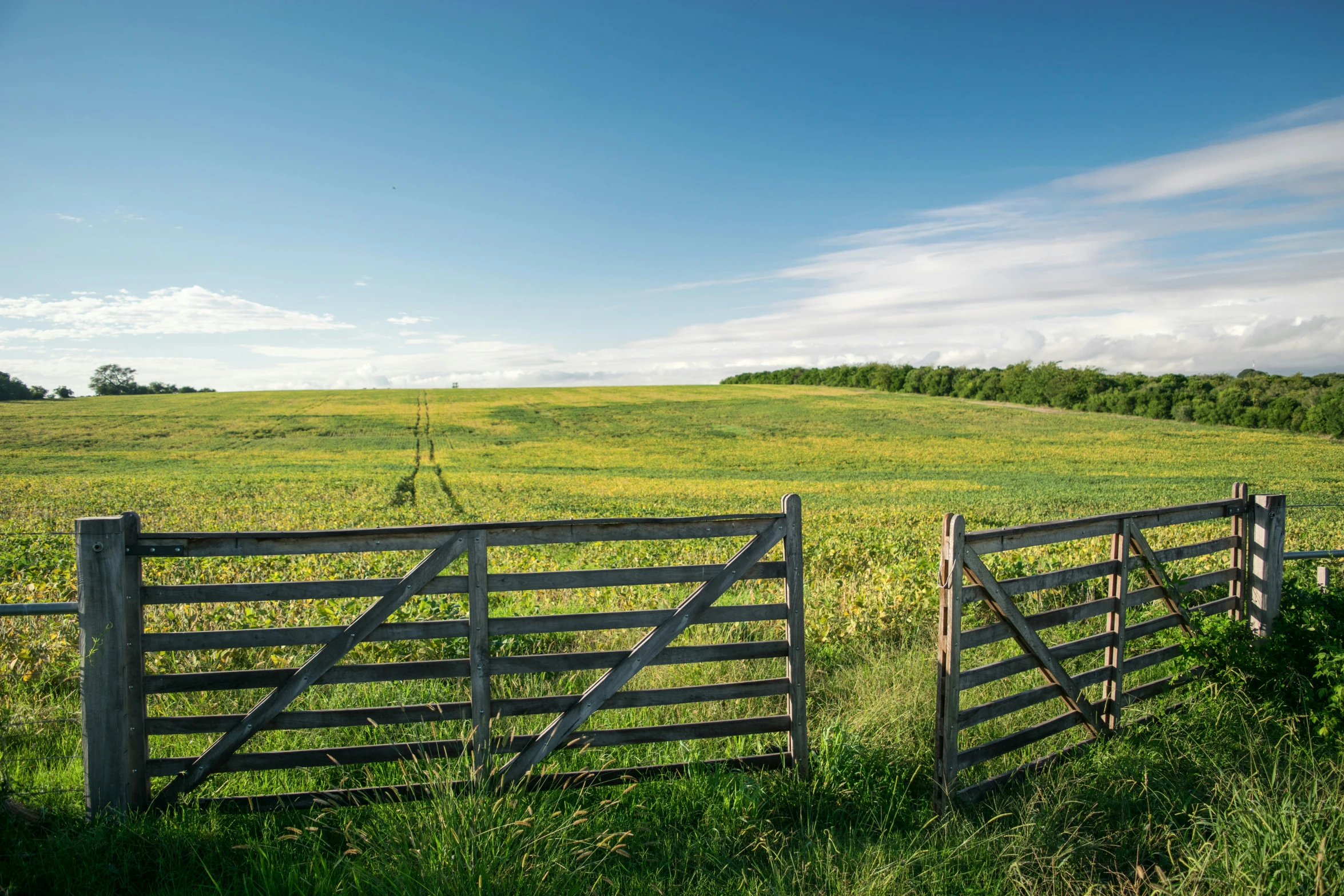 a farm with green fields and blue skies in the background