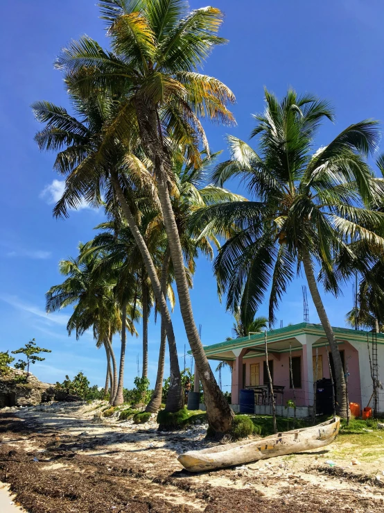 a cottage sitting between two palm trees on the beach