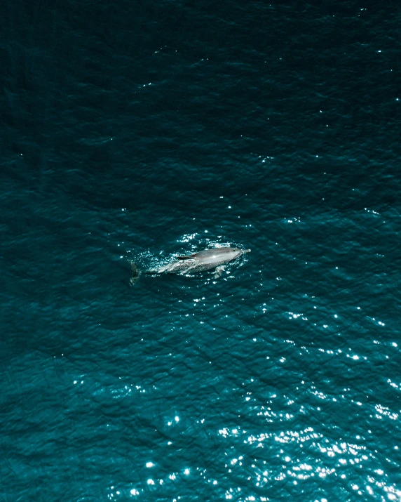 a person on a surfboard riding through the water