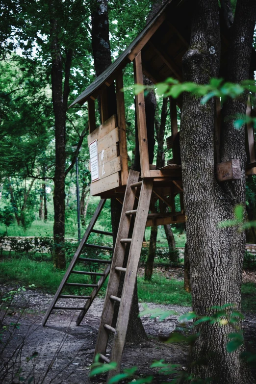 a tree house built in the woods