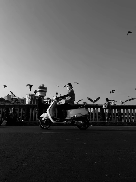 there are a few birds flying above a man on a scooter