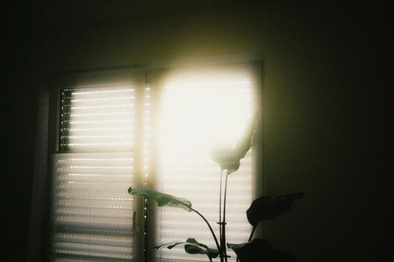 sunlight through the blinds on a bedroom