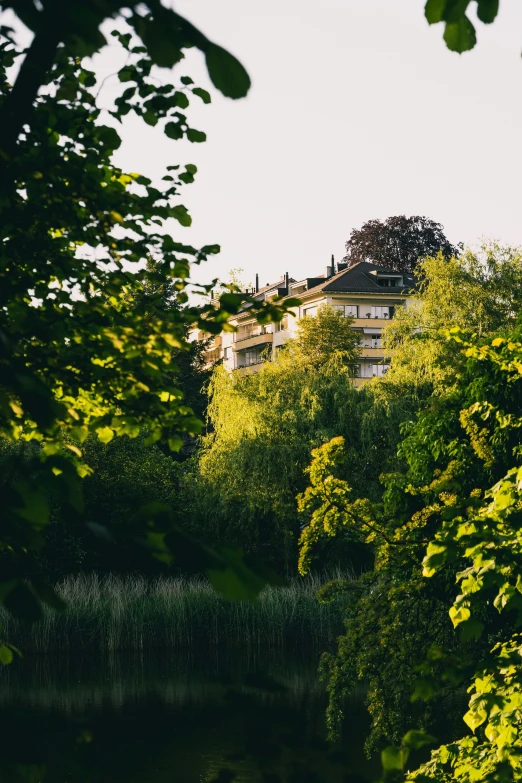 some trees and buildings with water and trees