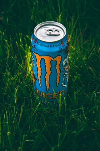 a can of monster energy drink on a lawn