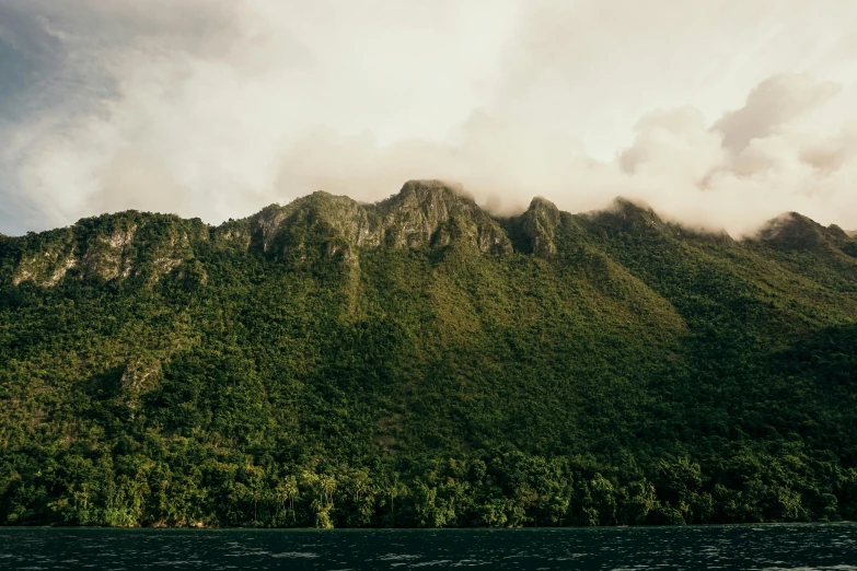 trees and green mountain beside a body of water