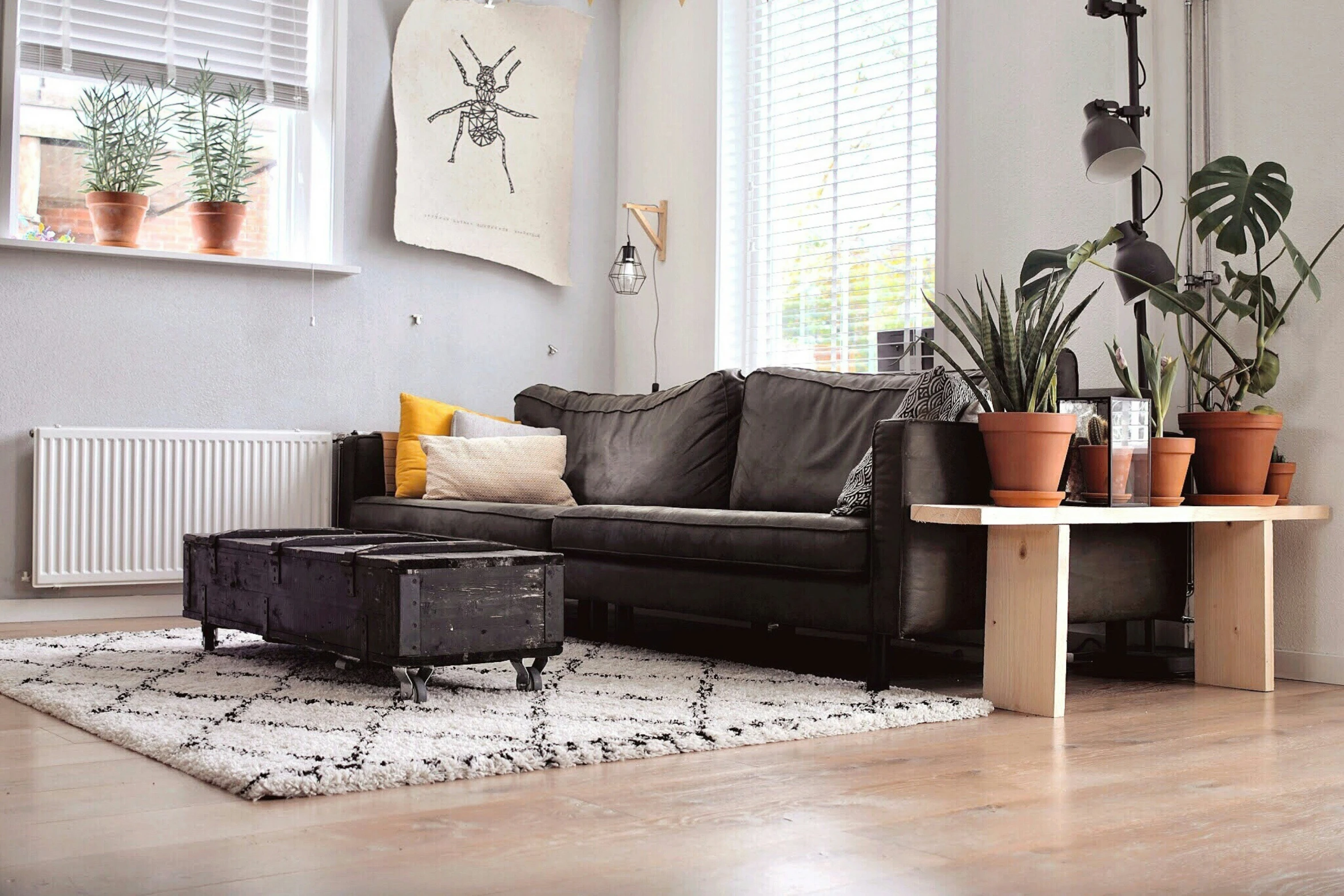 a living room with a black sofa and plants