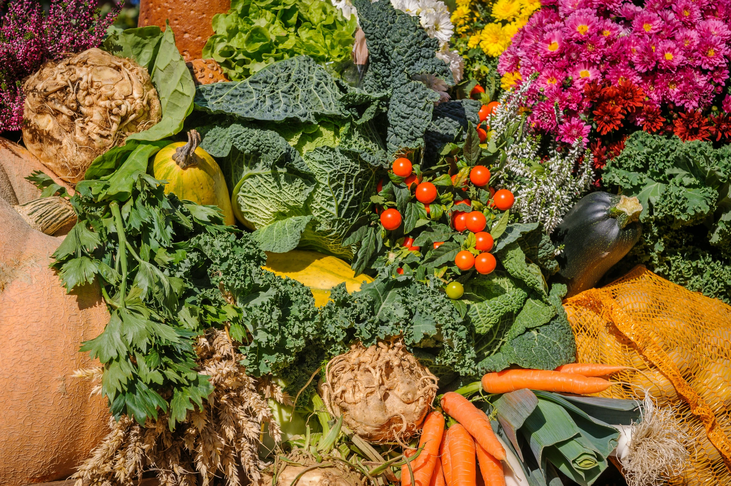 a pile of fruits and vegetables next to different plants