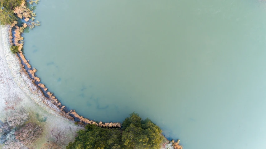 the aerial view shows a body of water with several trees