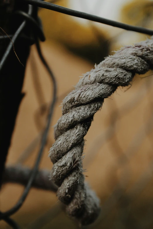 close up of rope attached to a chain link fence