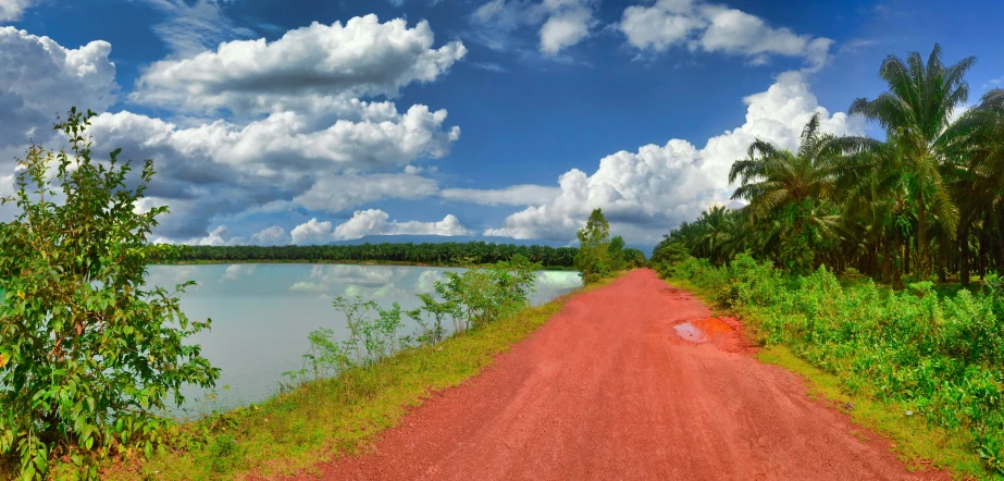 an empty path stretches along the river with trees and bushes