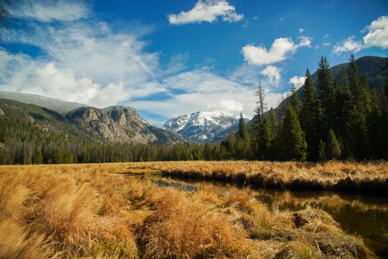 a large field with some tall grass and mountains