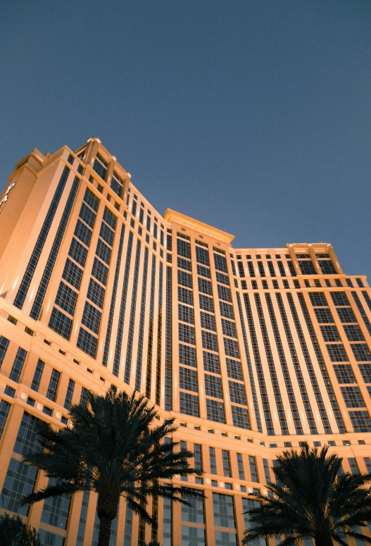 the top of the building is made from glass and palm trees