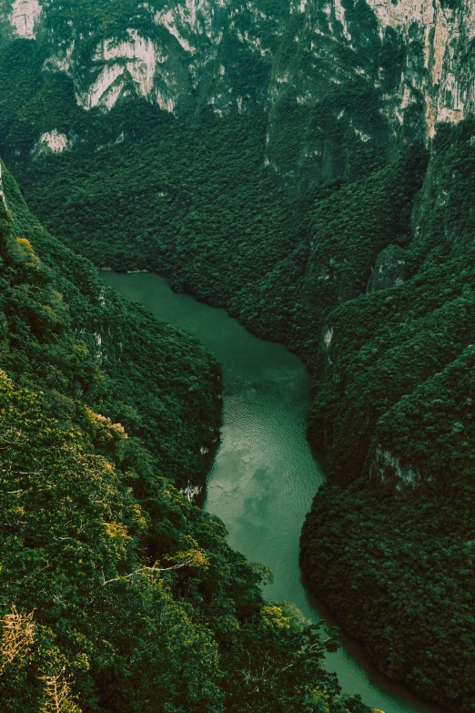 view of a river near a valley surrounded by trees