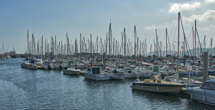 many sail boats lined up in a harbor