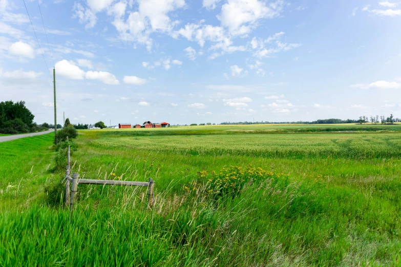 a field near a road and a farm