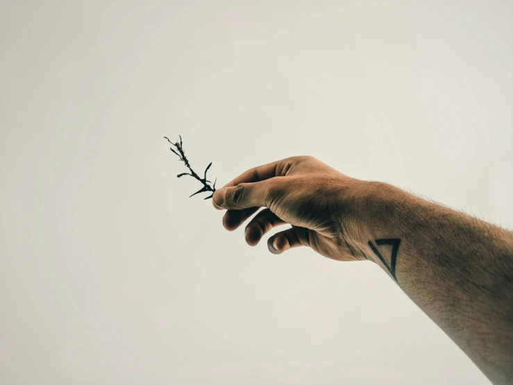 a hand holding out a tiny twig against the sky