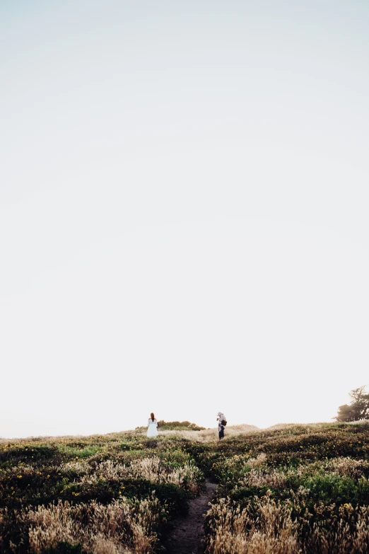 two people on a hill with an umbrella