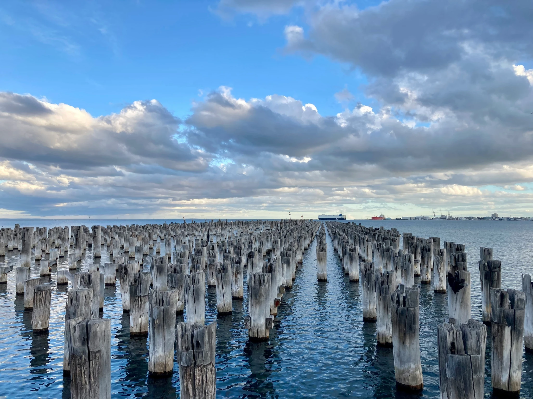 a bunch of wooden poles sitting in a body of water