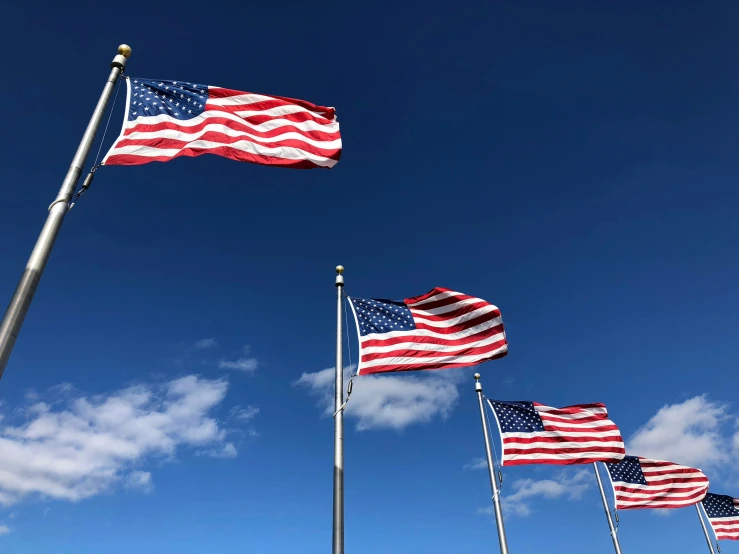 flags are flying in the wind near a blue sky