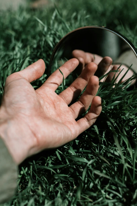 a hand reaching for soing out of the ground