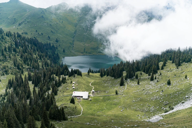 a green valley on top of a mountain filled with trees