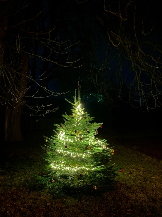 there is a small green lighted christmas tree