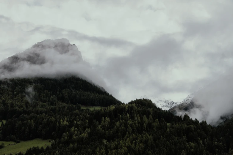 several small trees near a rocky mountain top