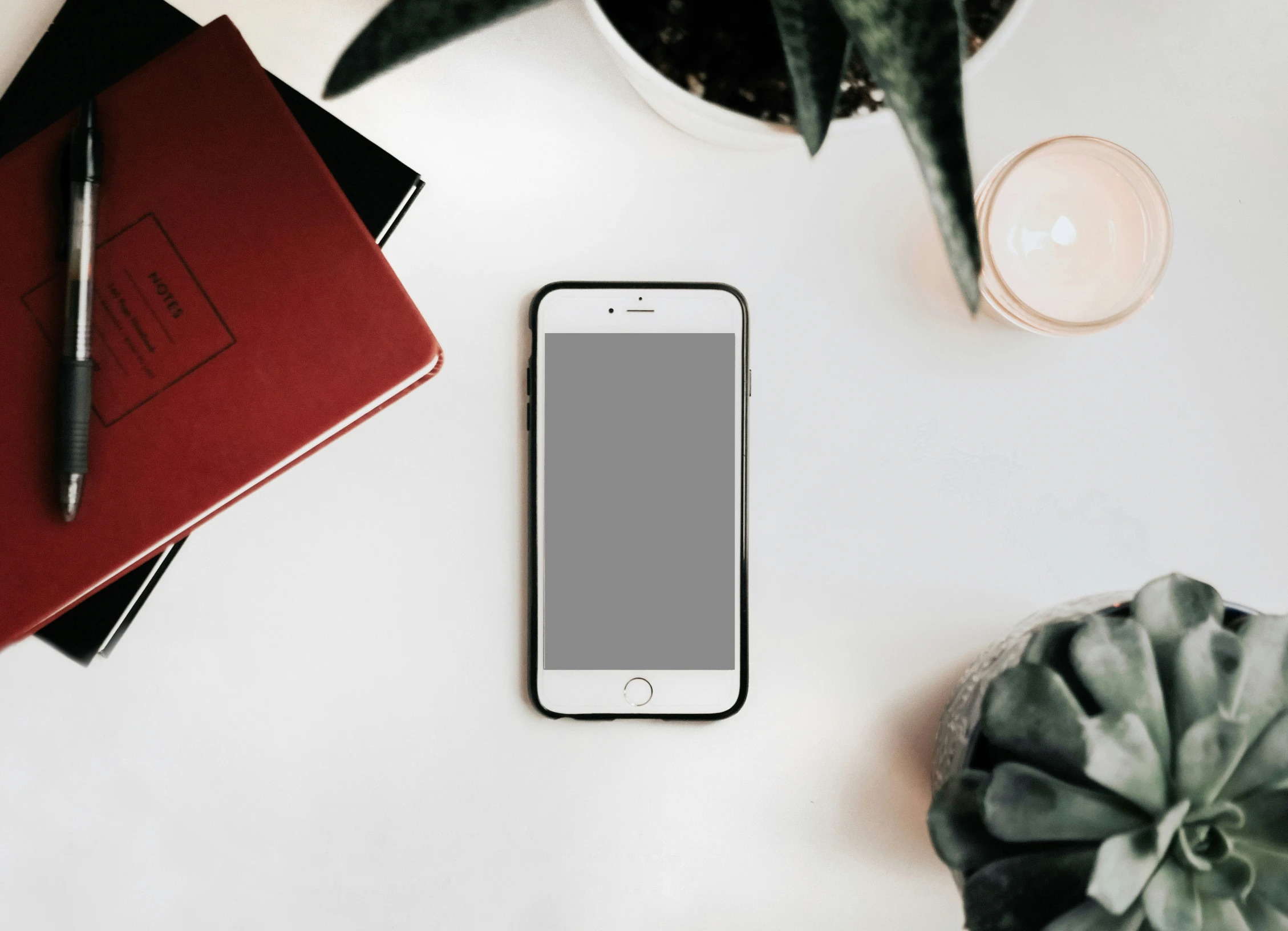 an iphone sits on top of a desk next to a potted plant