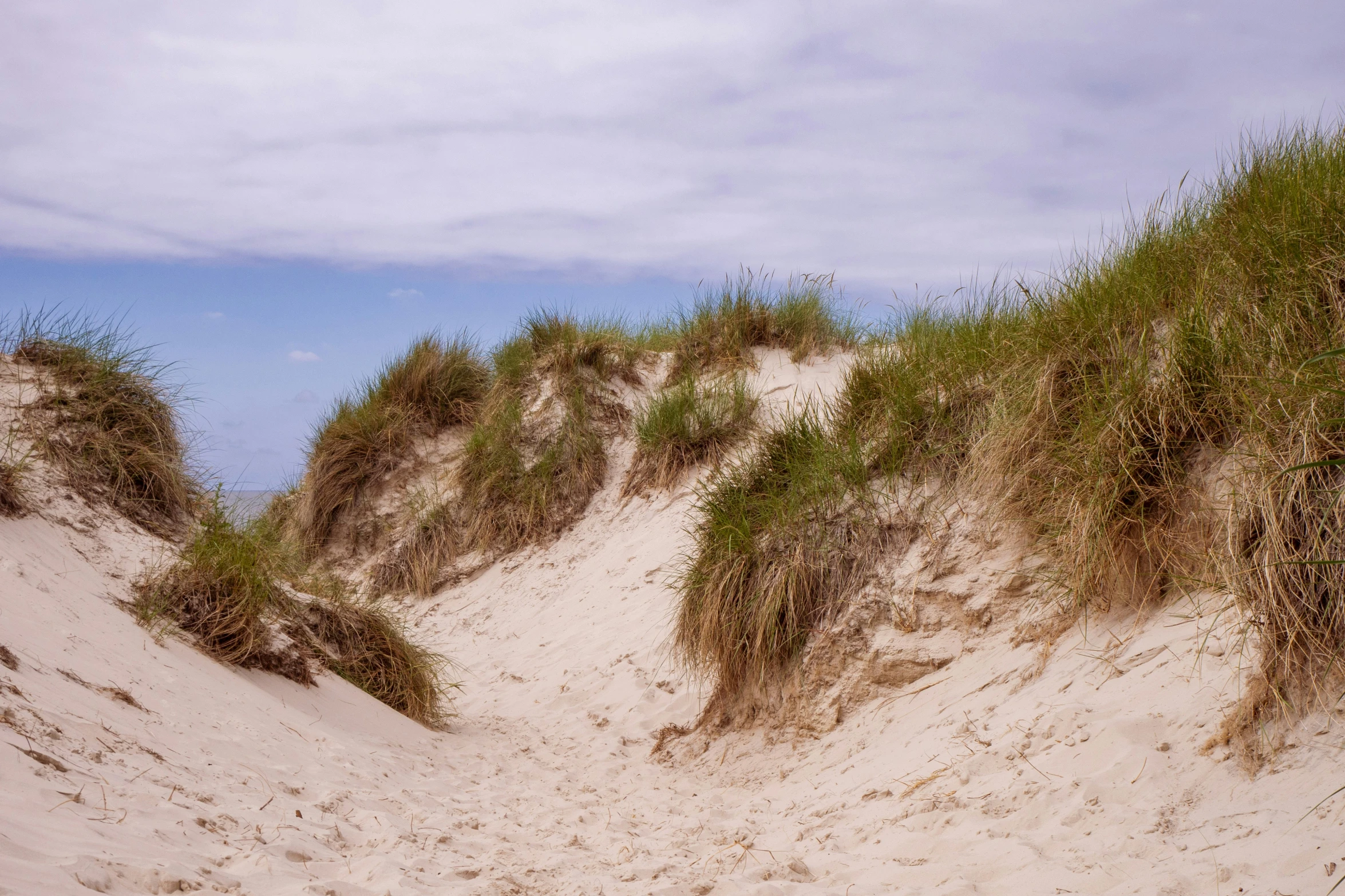 a grassy dune with a sandy road going down it