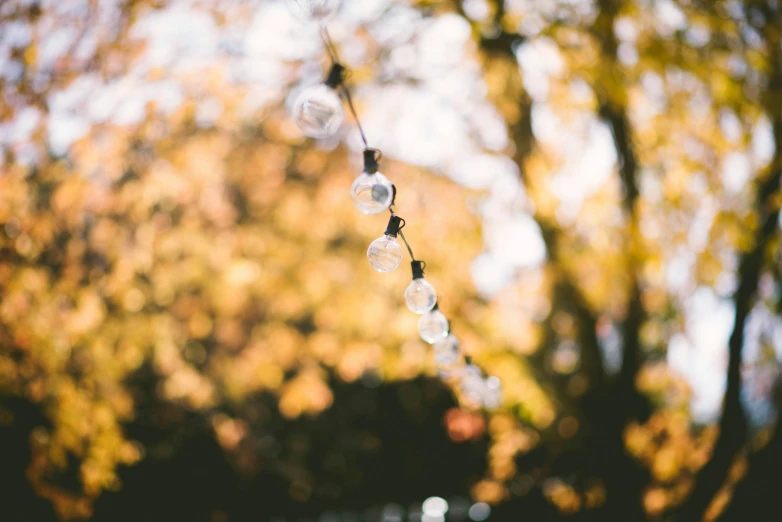 an image of a hanging wind chime in the fall