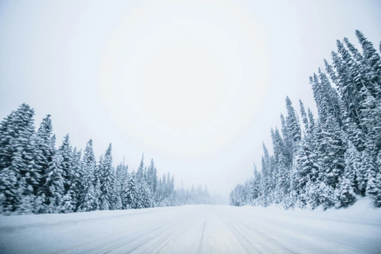 there is a road with trees that are covered in snow