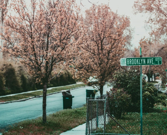 a sign on the corner of brooklyn ave and s 50th st