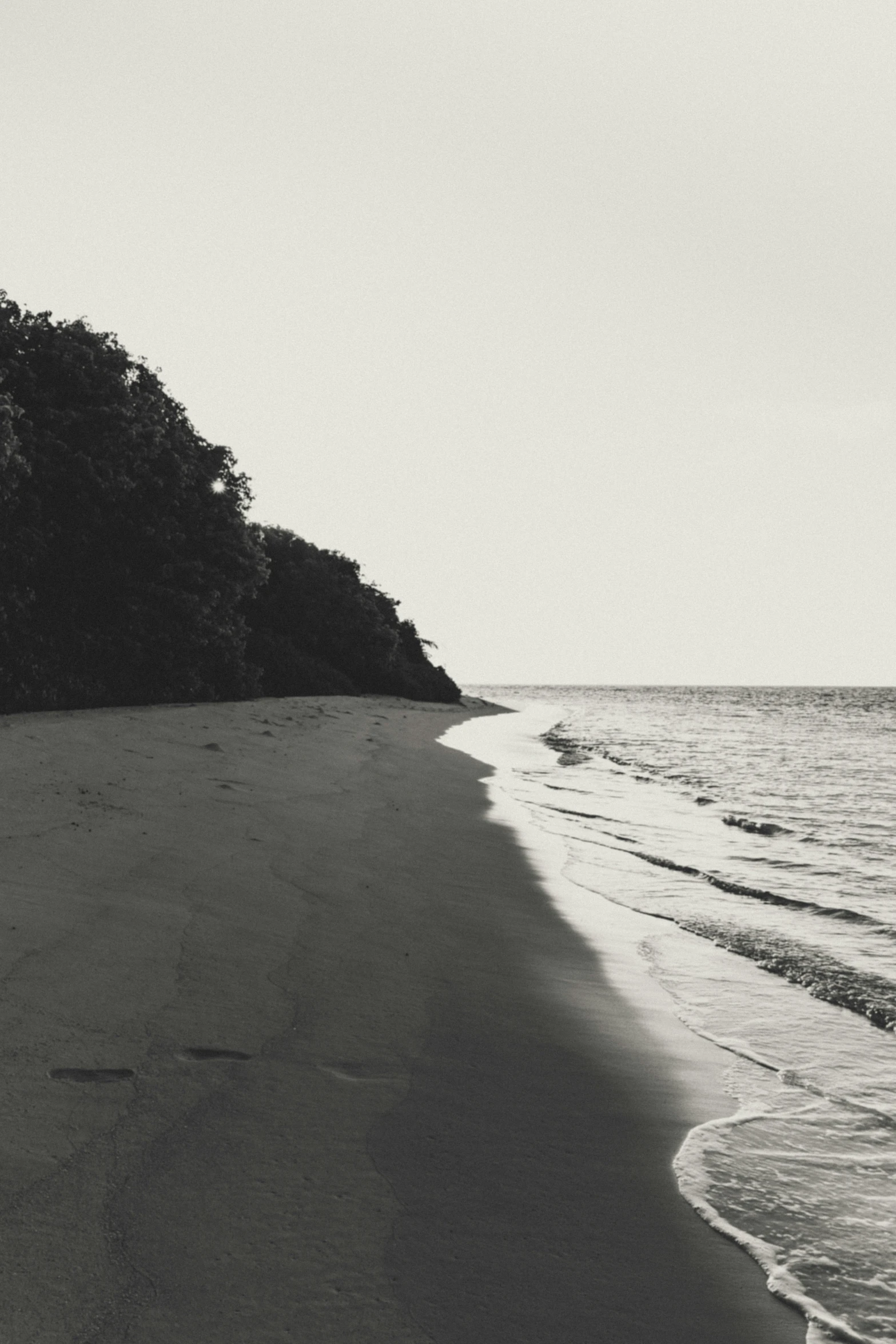 a beach with trees near by a large body of water