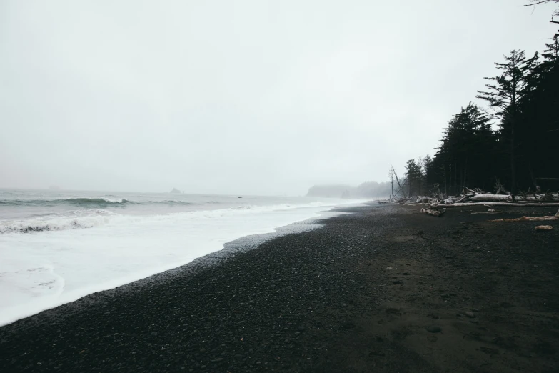 a long black beach and tree line with foggy skies