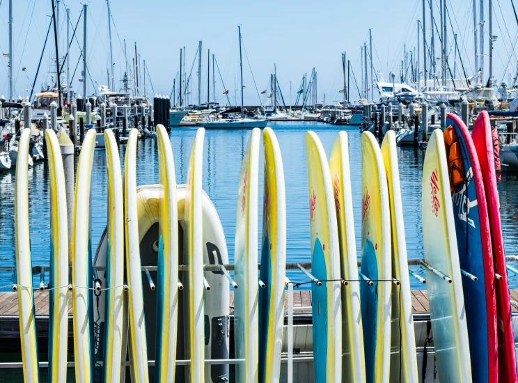 several rows of surf boards leaning up against a rack