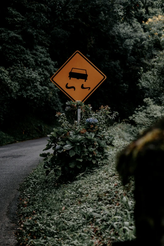 a sign posted in front of the road indicating cars are coming down