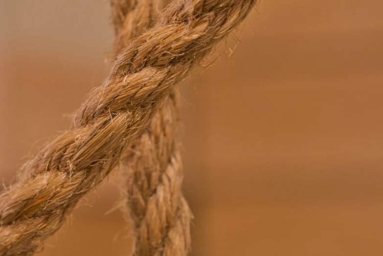 a bird is perched on the end of a rope