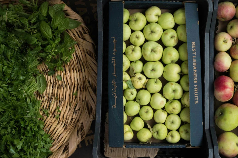 various types of fruit including apples, herbs and greens