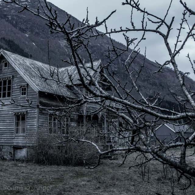 an abandoned house and some trees in the grass