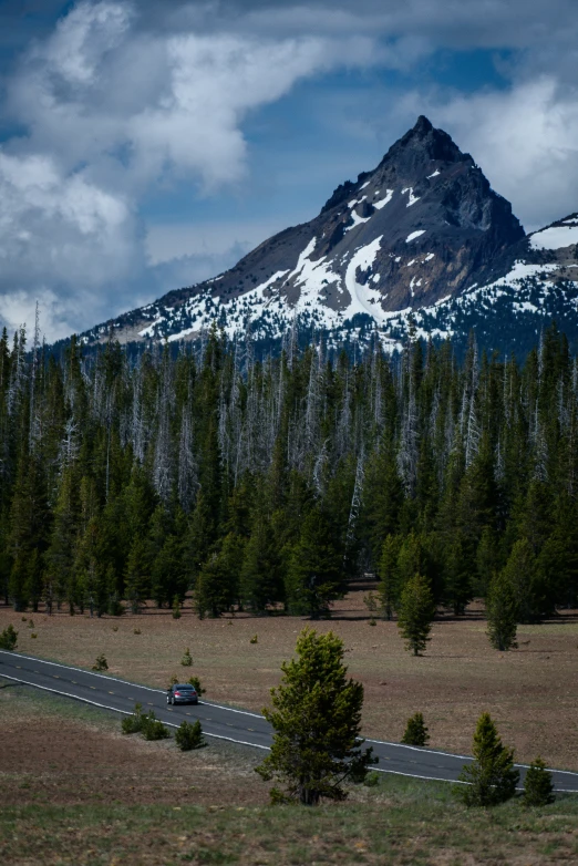 some trees snow mountains and bushes and a vehicle