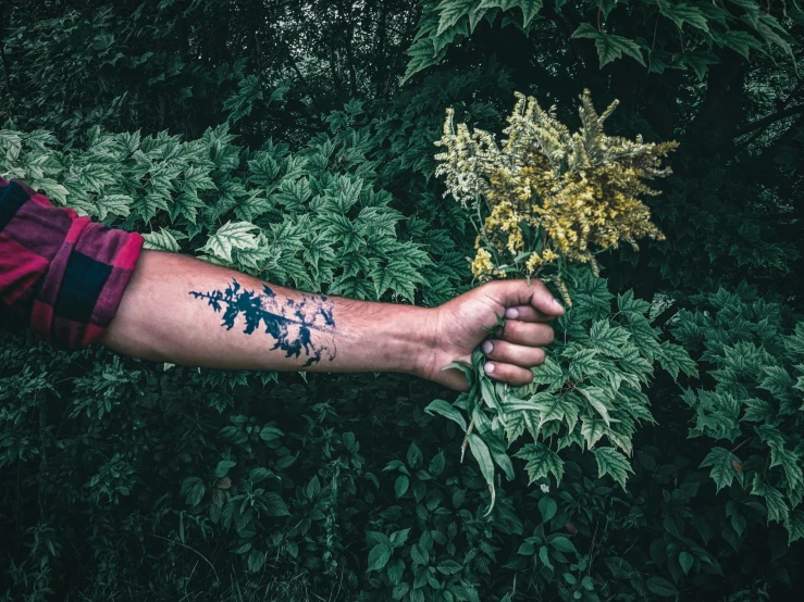 a person holding out their arm with the tattoo of flowers