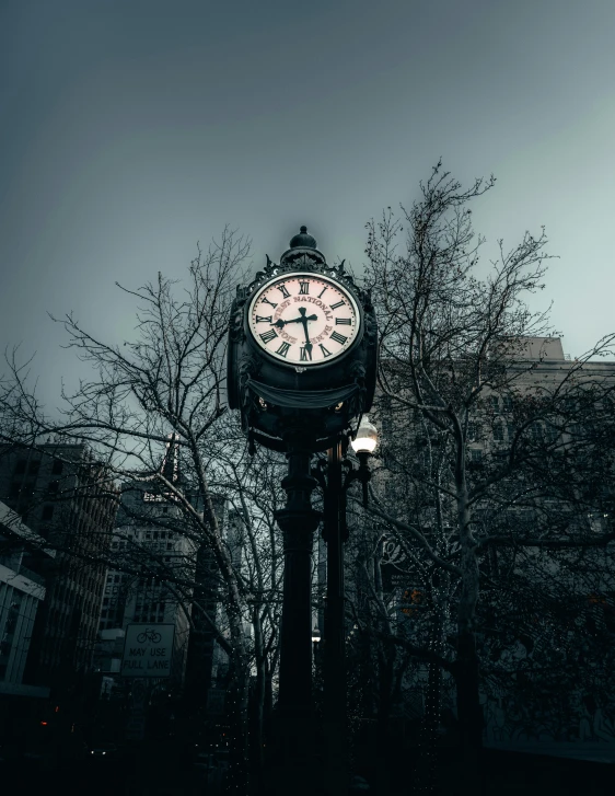 an illuminated clock in front of a tree